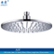 10 Inch Brass Round LED Shower Head